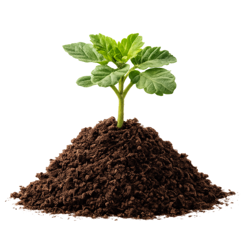 seedling mulch